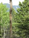 Lot 1418 Country Club 1